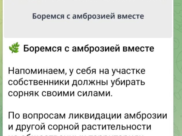 Боремся с амброзией вместе